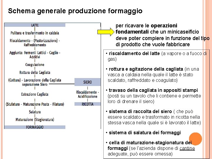 Schema generale produzione formaggio per ricavare le operazioni fondamentali che un minicaseificio deve poter