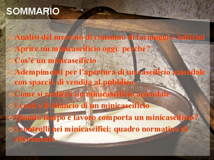 SOMMARIO Analisi del mercato di consumo di formaggi e latticini Aprire un minicaseificio oggi: