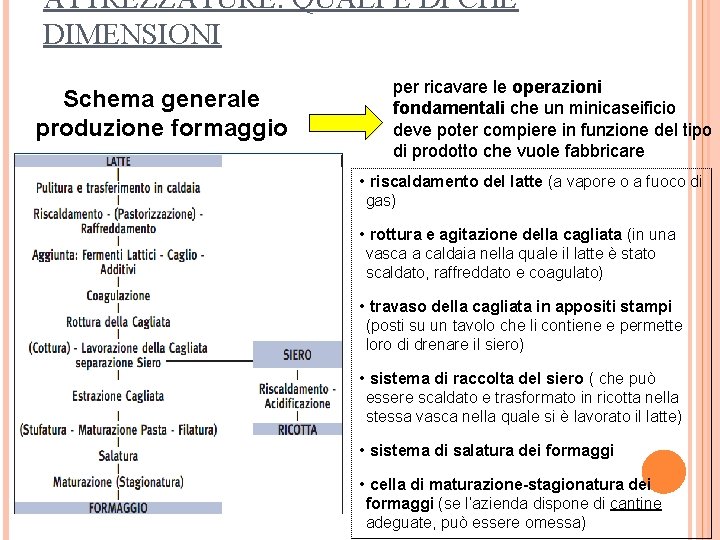 ATTREZZATURE: QUALI E DI CHE DIMENSIONI Schema generale produzione formaggio per ricavare le operazioni