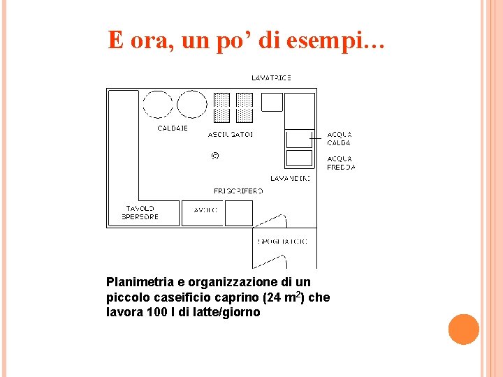 E ora, un po’ di esempi… Planimetria e organizzazione di un piccolo caseificio caprino