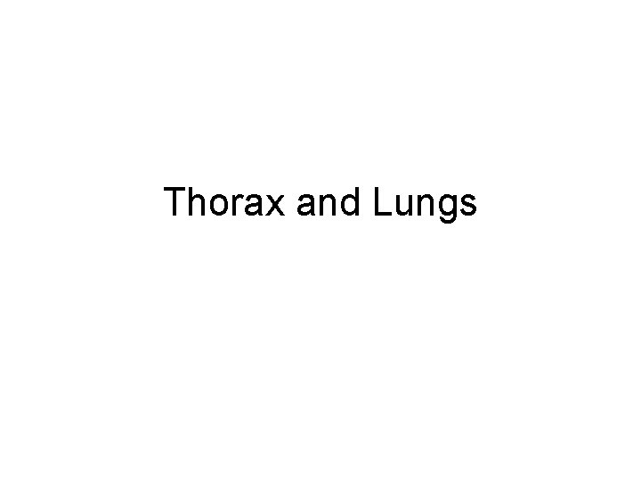Thorax and Lungs 