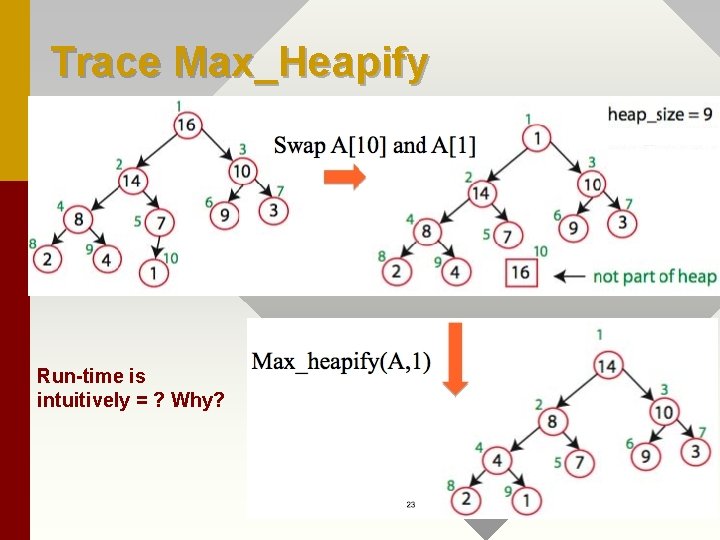 Trace Max_Heapify Run-time is intuitively = ? Why? 