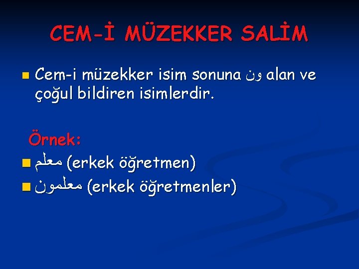 CEM-İ MÜZEKKER SALİM n Cem-i müzekker isim sonuna ﻭﻥ alan ve çoğul bildiren isimlerdir.