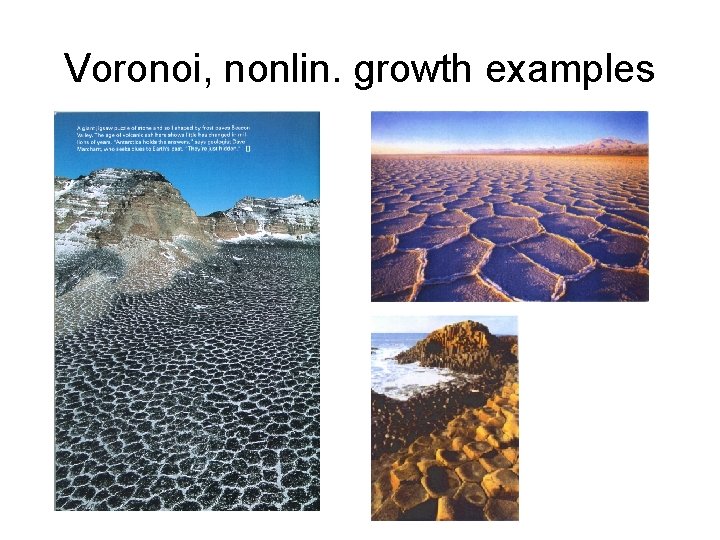 Voronoi, nonlin. growth examples 