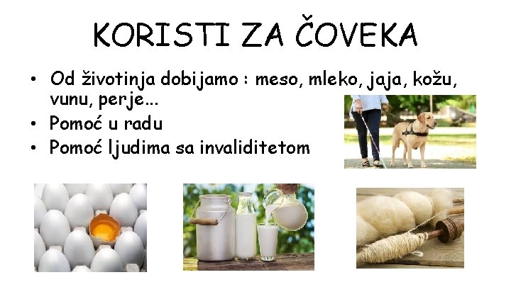 KORISTI ZA ČOVEKA • Od životinja dobijamo : meso, mleko, jaja, kožu, vunu, perje.