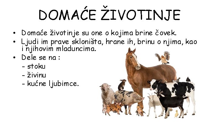 DOMAĆE ŽIVOTINJE • Domaće životinje su one o kojima brine čovek. • Ljudi im