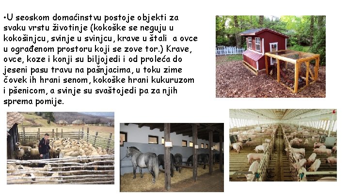  • U seoskom domaćinstvu postoje objekti za svaku vrstu životinje (kokoške se neguju