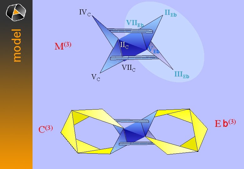 IVC IIEb model VIIEb IIC M(3) VC C(3) VIIC VE b IIIEb E b(3)