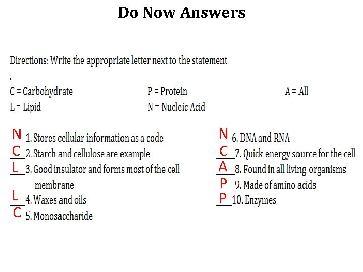 Do Now Answers N C L L C N C A P P 