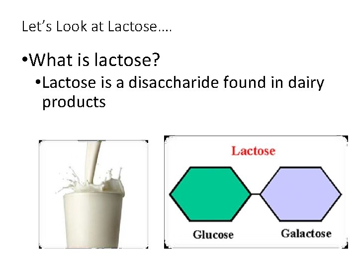 Let’s Look at Lactose…. • What is lactose? • Lactose is a disaccharide found