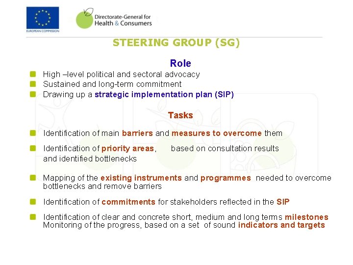 STEERING GROUP (SG) Role High –level political and sectoral advocacy Sustained and long-term commitment