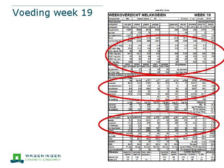 Voeding week 19 58 