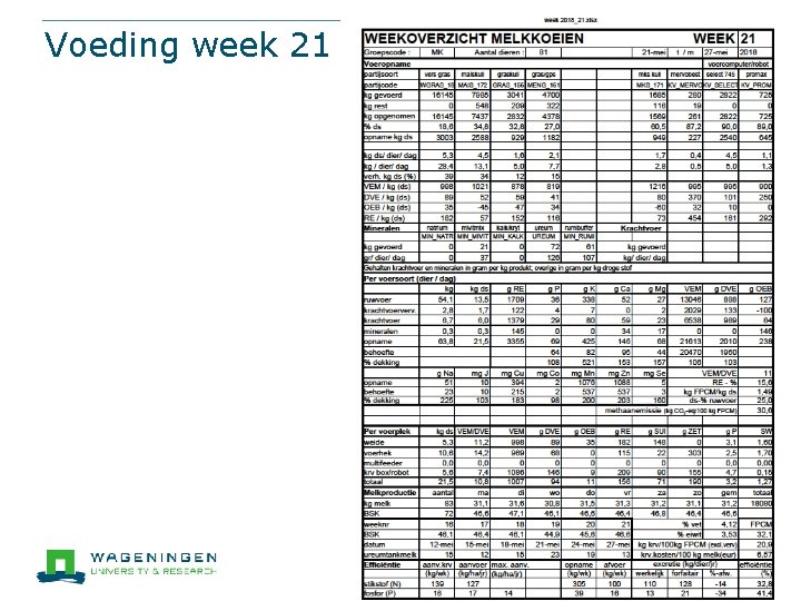 Voeding week 21 60 