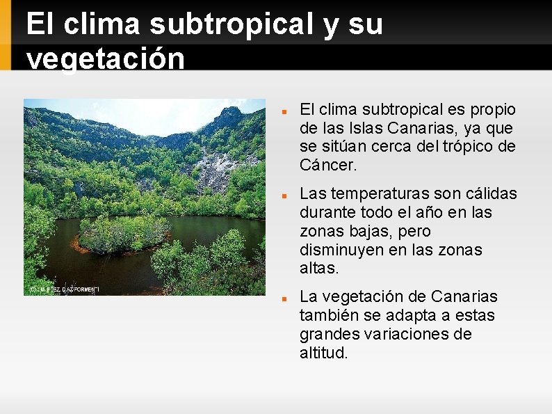 El clima subtropical y su vegetación El clima subtropical es propio de las Islas