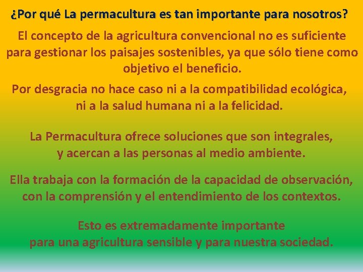 ¿Por qué La permacultura es tan importante para nosotros? El concepto de la agricultura