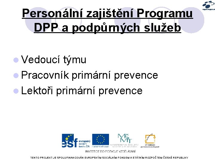 Personální zajištění Programu DPP a podpůrných služeb l Vedoucí týmu l Pracovník primární prevence