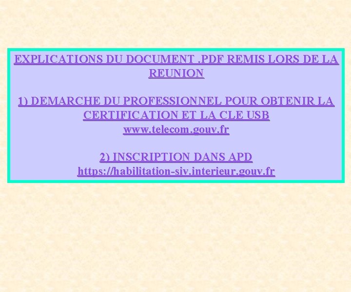 EXPLICATIONS DU DOCUMENT. PDF REMIS LORS DE LA REUNION 1) DEMARCHE DU PROFESSIONNEL POUR