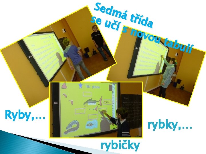 Sed má tříd se u a čí s nov ou Ryby, … tabu lí