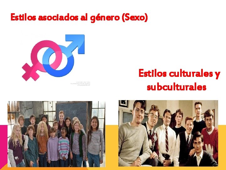 Estilos asociados al género (Sexo) Estilos culturales y subculturales 