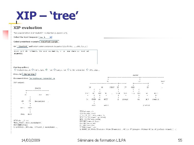 XIP – ‘tree’ 14/03/2009 Séminaire de formation LILPA 55 