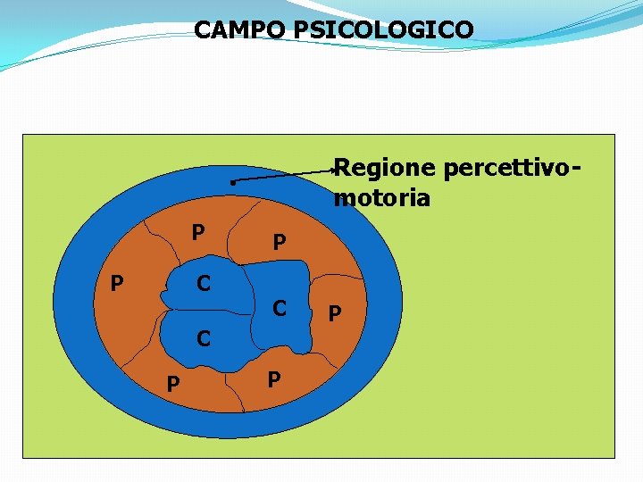 CAMPO PSICOLOGICO Regione percettivomotoria P P C C P P P 