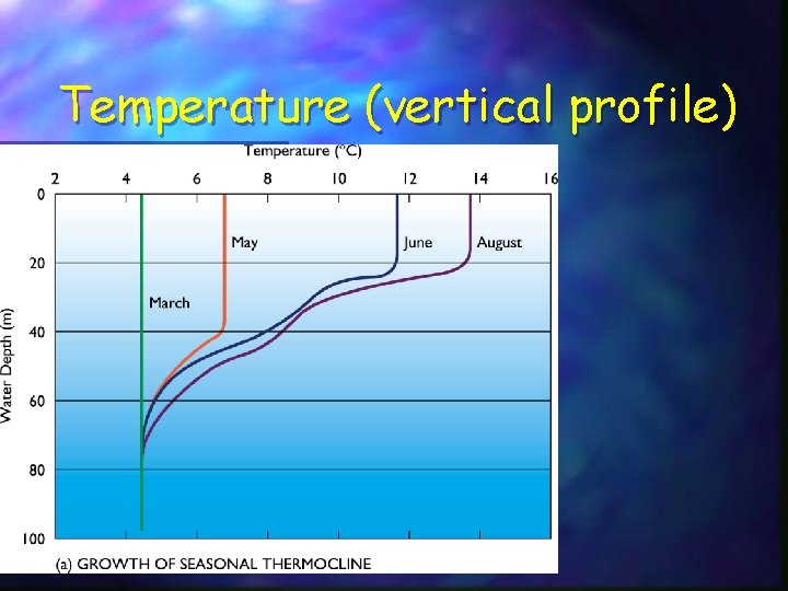 Temperature (vertical profile) 