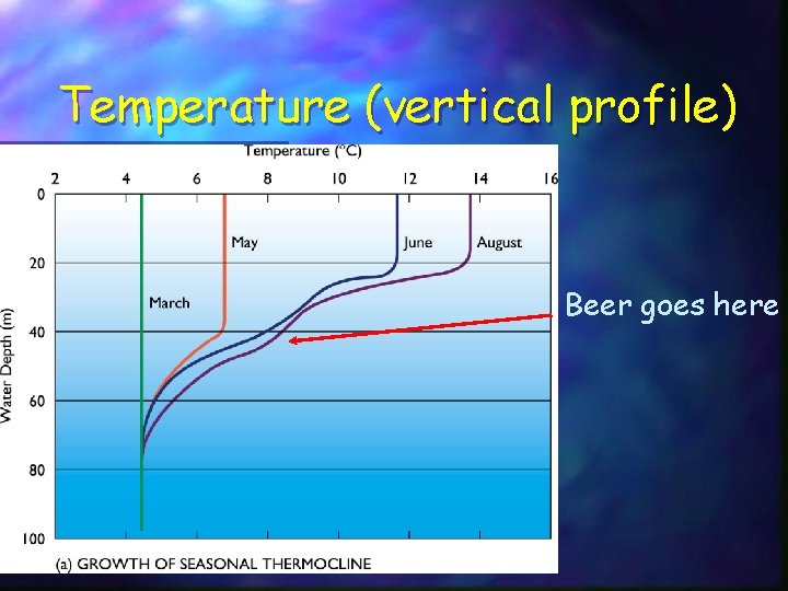 Temperature (vertical profile) Beer goes here 