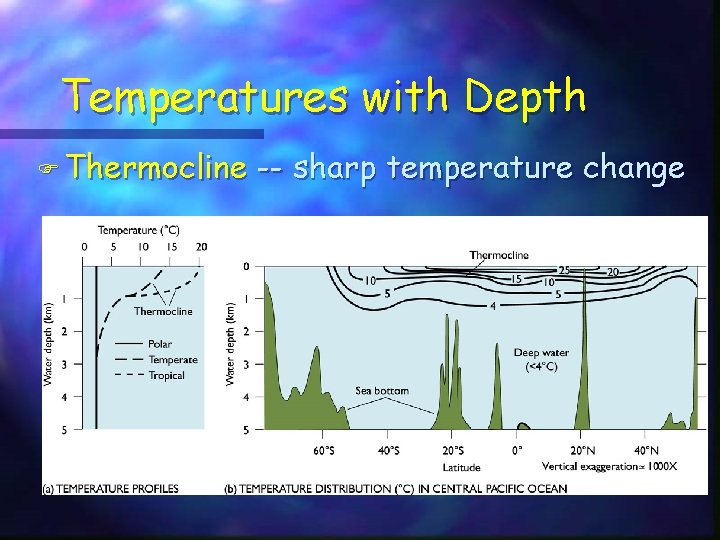 Temperatures with Depth F Thermocline -- sharp temperature change 