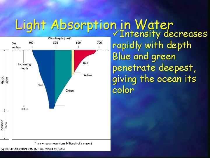 Light Absorption in Water üIntensity decreases rapidly with depth Blue and green penetrate deepest,