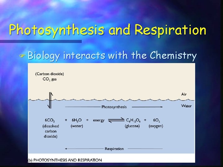 Photosynthesis and Respiration F Biology interacts with the Chemistry 