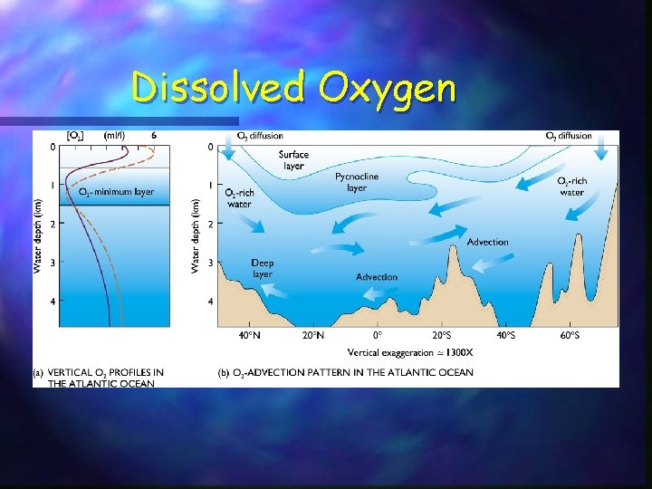 Dissolved Oxygen 