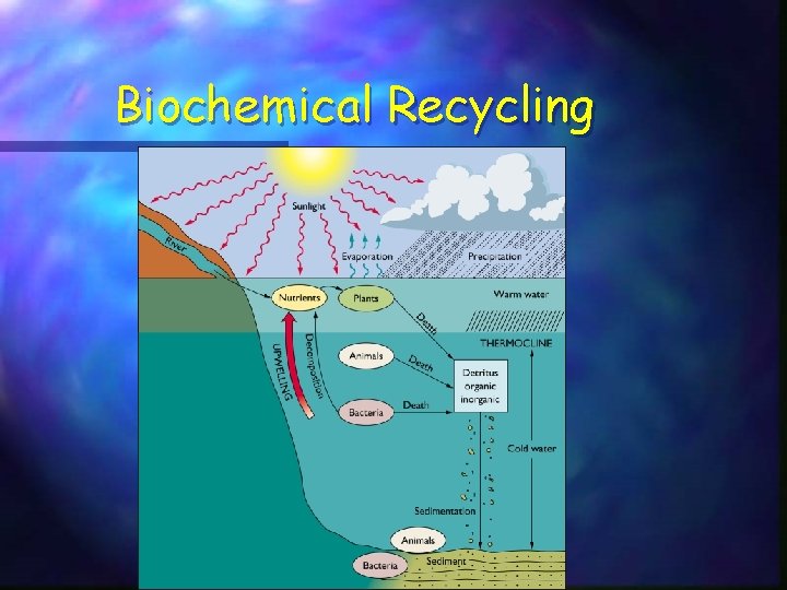 Biochemical Recycling 