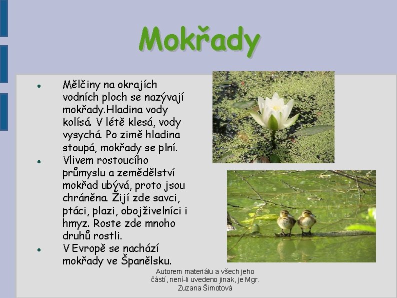 Mokřady Mělčiny na okrajích vodních ploch se nazývají mokřady. Hladina vody kolísá. V létě