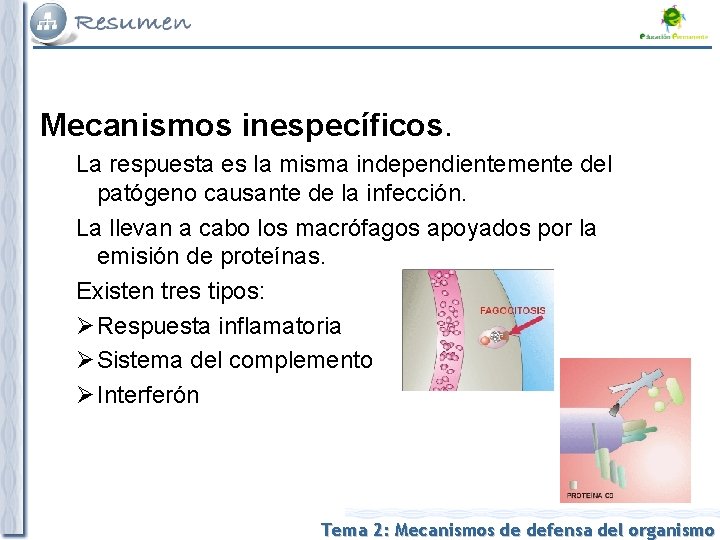 Mecanismos inespecíficos. La respuesta es la misma independientemente del patógeno causante de la infección.