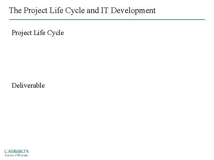 The Project Life Cycle and IT Development Project Life Cycle Deliverable 