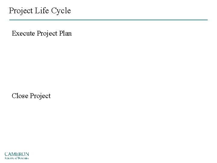 Project Life Cycle Execute Project Plan Close Project 