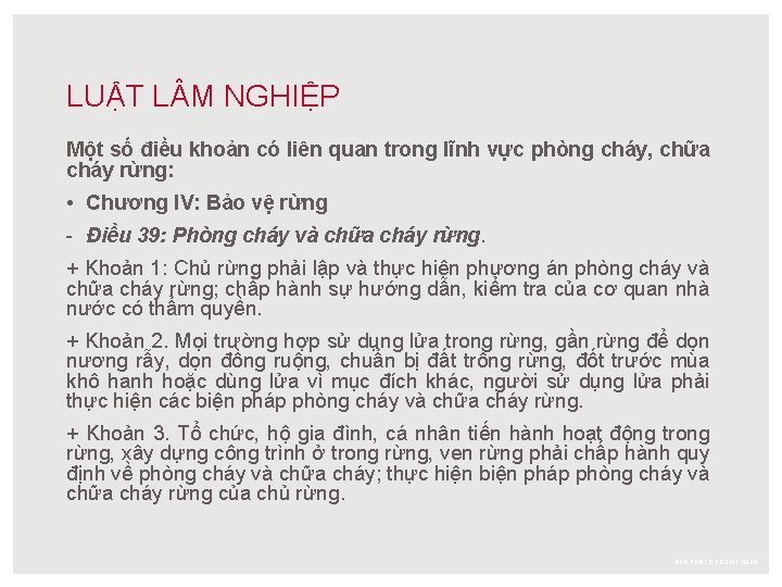 LUẬT L M NGHIỆP Một số điều khoản có liên quan trong lĩnh vực