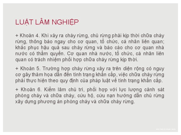 LUẬT L M NGHIỆP + Khoản 4. Khi xảy ra cháy rừng, chủ rừng