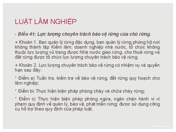 LUẬT L M NGHIỆP - Điều 41: Lực lượng chuyên trách bảo vệ rừng