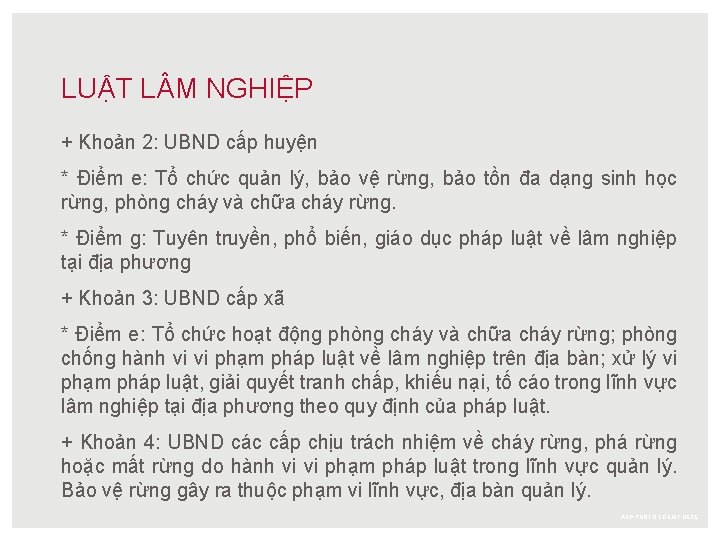 LUẬT L M NGHIỆP + Khoản 2: UBND cấp huyện * Điểm e: Tổ