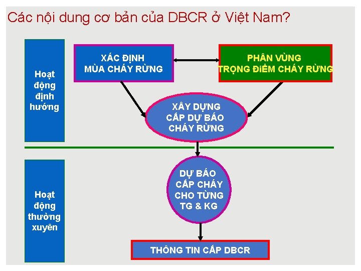 Các nội dung cơ bản của DBCR ở Việt Nam? Hoạt động định hướng