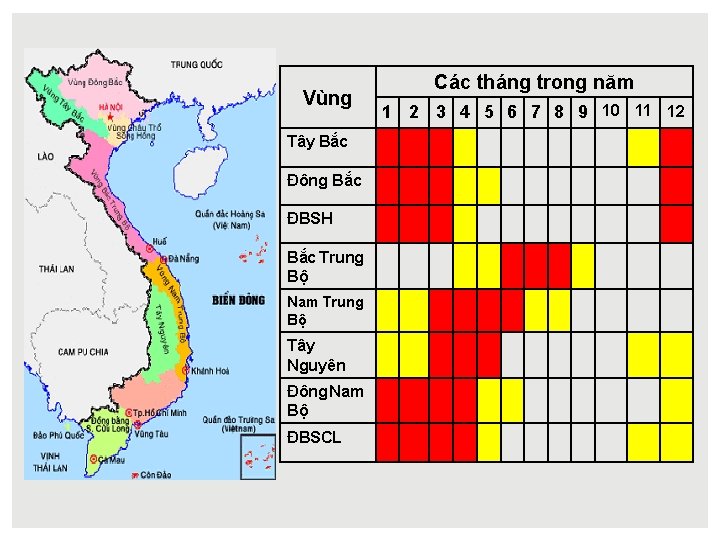 Vùng Tây Bắc Đông Bắc ĐBSH Bắc Trung Bộ Nam Trung Bộ Tây Nguyên