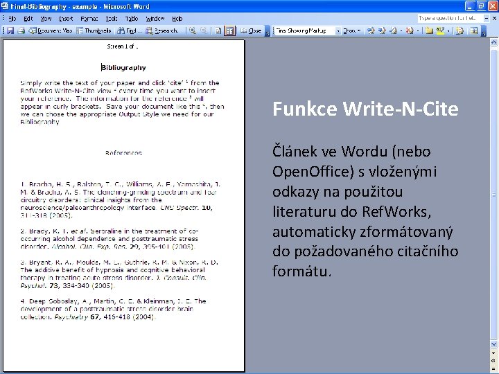 Funkce Write-N-Cite Článek ve Wordu (nebo Open. Office) s vloženými odkazy na použitou literaturu