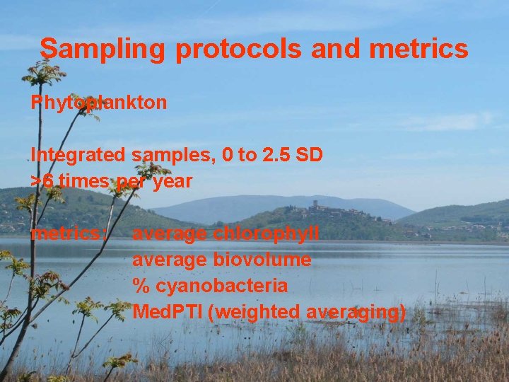 Sampling protocols and metrics Phytoplankton Integrated samples, 0 to 2. 5 SD >6 times