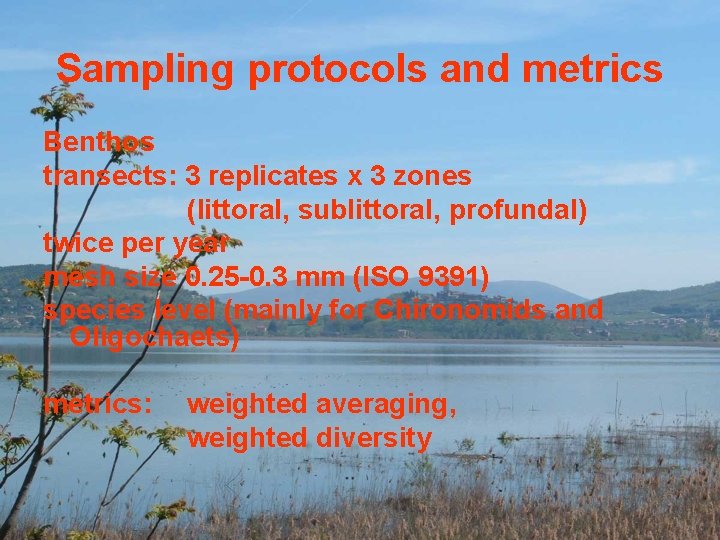 Sampling protocols and metrics Benthos transects: 3 replicates x 3 zones (littoral, sublittoral, profundal)