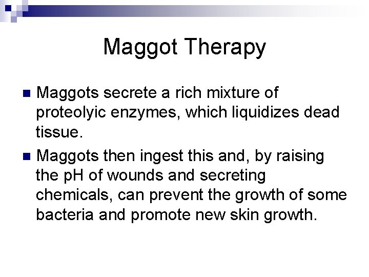 Maggot Therapy Maggots secrete a rich mixture of proteolyic enzymes, which liquidizes dead tissue.