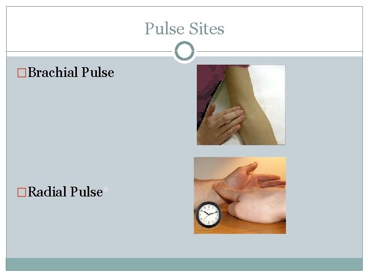 Pulse Sites �Brachial Pulse �Radial Pulse* 