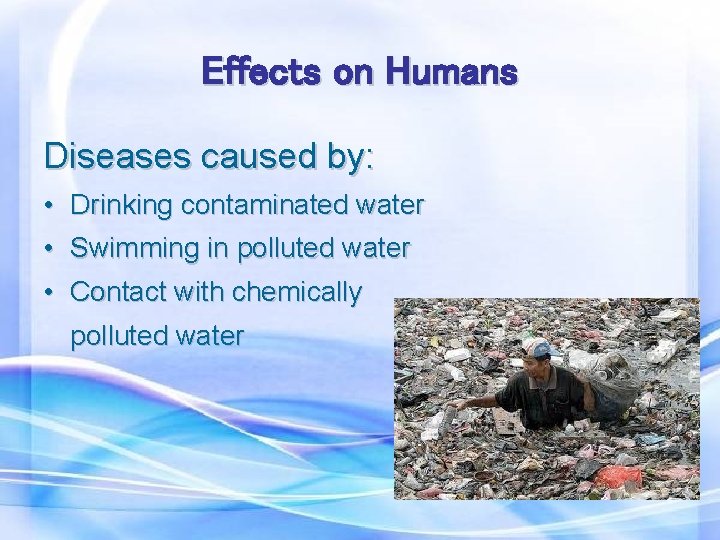 Effects on Humans Diseases caused by: • Drinking contaminated water • Swimming in polluted