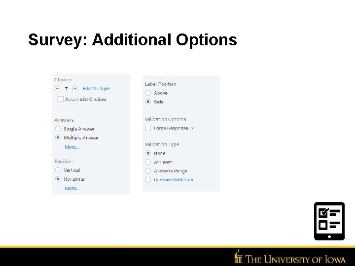 Survey: Additional Options 