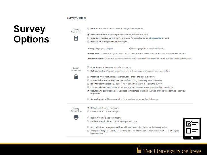 Survey Options 